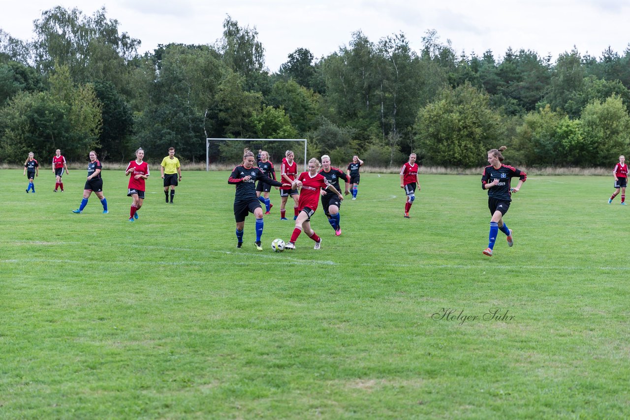 Bild 231 - Frauen SG NieBar - HSV 2 : Ergebnis: 4:3